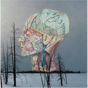 Songs For A Dead Pilot - Low