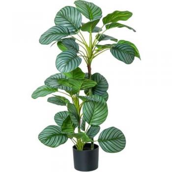 Planta Decorativa de Plástico Calathea 90 cm - Alexandra House Living