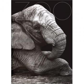 Zoo