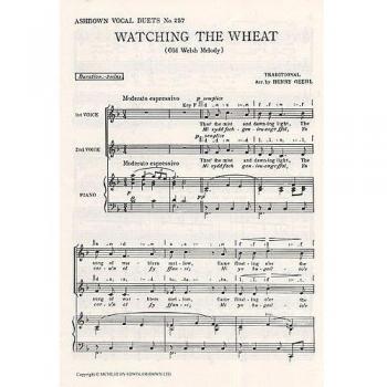 Watching The Wheat