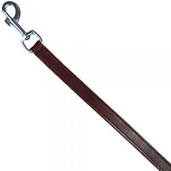 Trixie Active Leash.