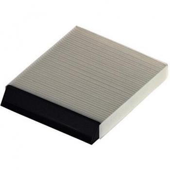 Filtron - Filtro habitaculo, talla: 270x230x35mm