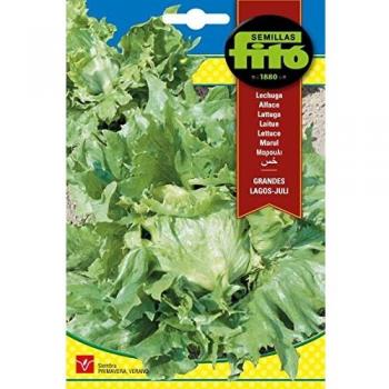 Semillas Fitó 183 - Semillas de Lechuga Grandes Lagos Juli