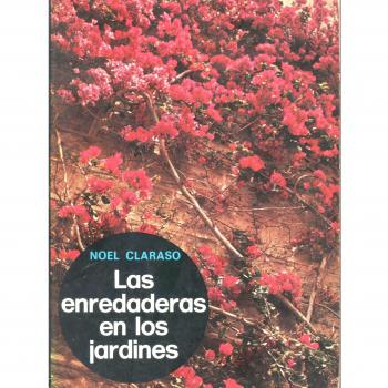 Las enredaderas en los jardines