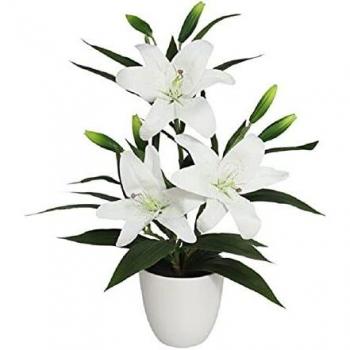 Maceta Lily 57cm