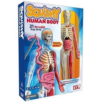 Squishy Human Body (SmartLAB)