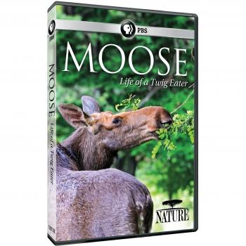 Nature: Moose - Life of a Twig Eater (US Edition) [DVD]