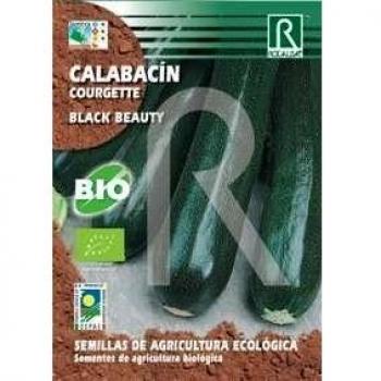 Semilla Calabacín black beauty