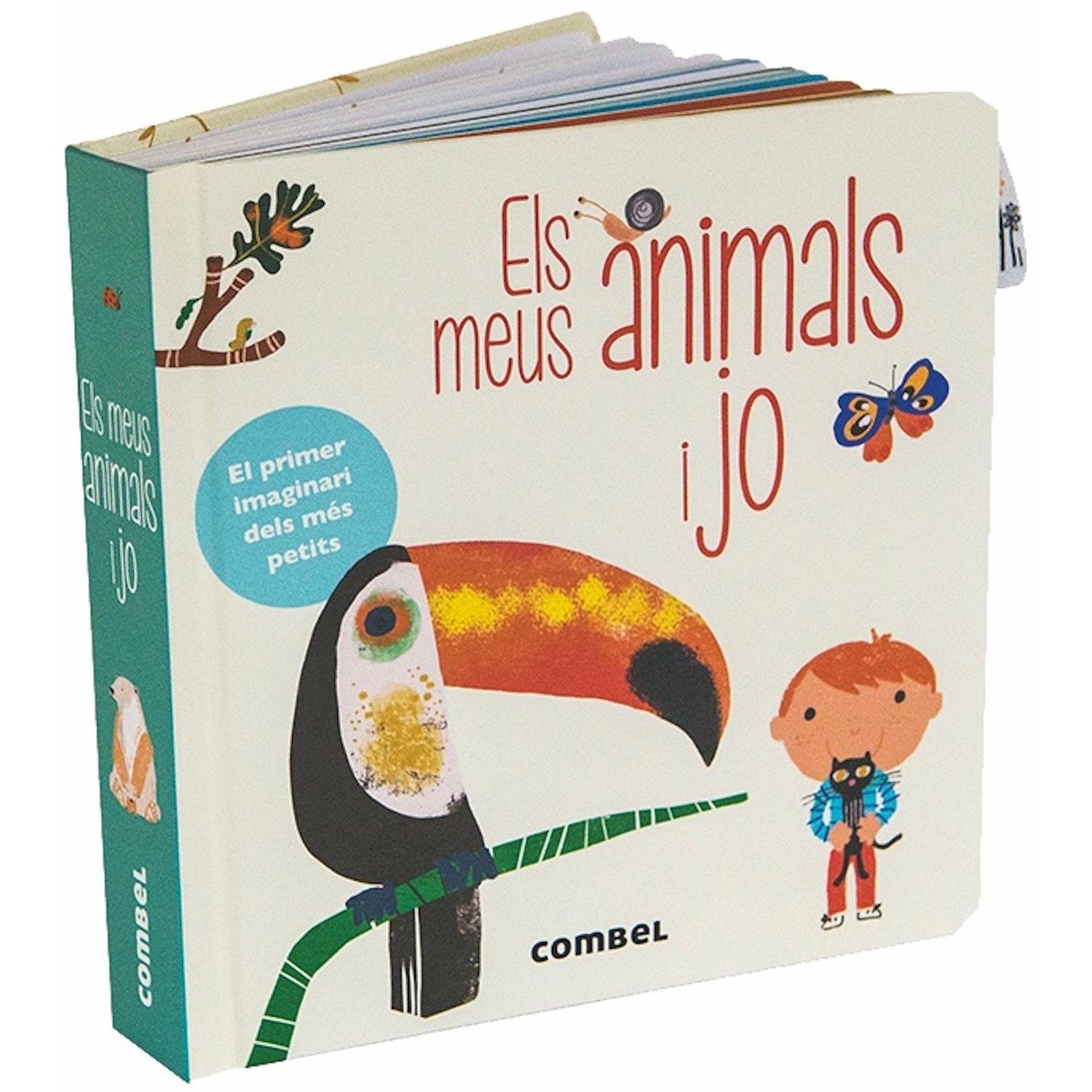 Imagen Principal