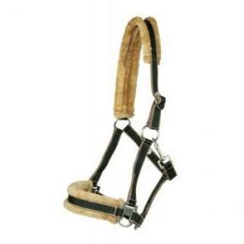 PFIFF 100751-43-Pony - Cabezada para Caballos, Color Azul/Azul Claro, Talla Pony