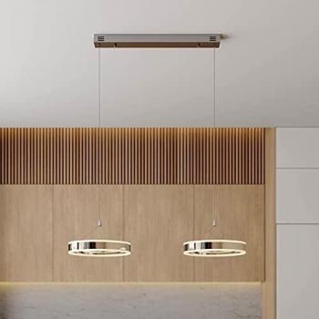 Lámpara colgante LED Lucande Lyani, moderna, plateada, hecha de metal, con 2 anillos uno al lado del otro, ideal para salón y comedor