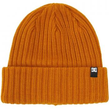 Gorro de hombre Fish N Destroy 2 DC Shoes