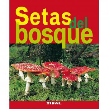 Setas Del Bosque