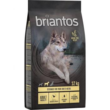 Briantos Adult Mobility Chicken and Potato - GRAIN-FREE - Economy Pack: 2 x 12 kg