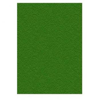 Portadas de encuadernación Displast Verde A4 Cartón (50 Unidades)