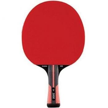 Dunlop Pala Tenis Mesa Evolution 1000