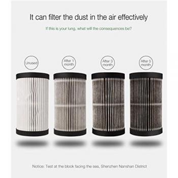Filtro HEPA, anione Filtro de carbón activo para purificador de aire absorbe de sustancias inquinanti Disperse en el aire