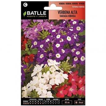 Semillas de Flores - Verbena Alta Variada Híbrida - Batlle