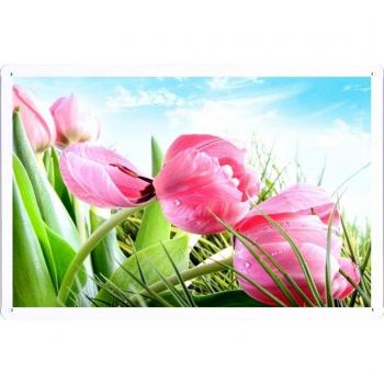 Metal cartel Cartel de chapa Hojalata sesión Flower Tin Sign Tulips Flowers Sky Drops Grass Fresh 25053 Retro Vintage Pared Decoración by hamgaacaan