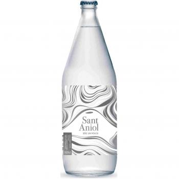 Aigua Mineral Natural Amb Gas Sant Aniol Ampolla Vidre Edició Limitada Botella 1L
