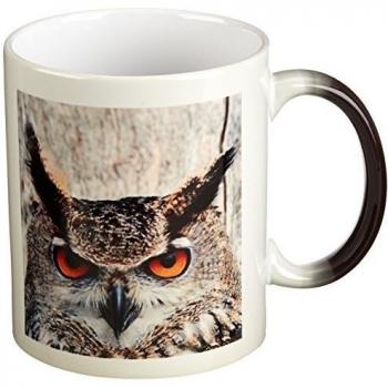 3dRose Taza _ 9902 _ 3 Eagle búho Bubón Bubón Magic Transformando Taza, 11-Ounce