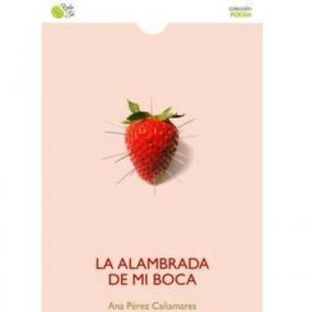 La Alambrada De Mi Boca
