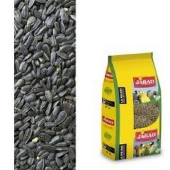 PIPA NEGRA ESPECIAL JILGUEROS