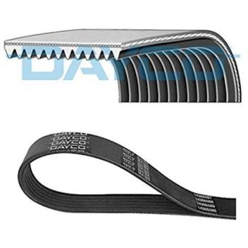 Correa trapecial poli V DAYCO 11PK2040HD, tipo: correa V ribbed, longitud: 2040 mm, número de pistas: 11, alta resistencia y durabilidad
