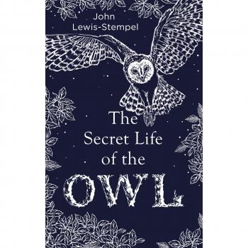 The Secret Life of the Owl: a beautifully illustrated and lyrical celebration of this mythical creature from bestselling and prize-winning author John Lewis-Stempel