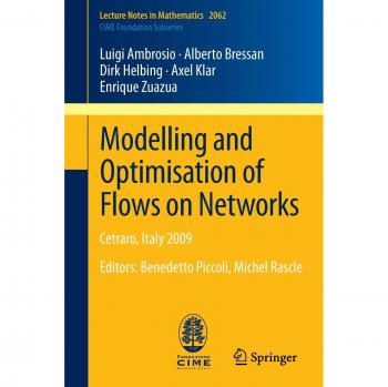 Ambrosio & Luigi: Network Flow Modelling and Optimization Techniques