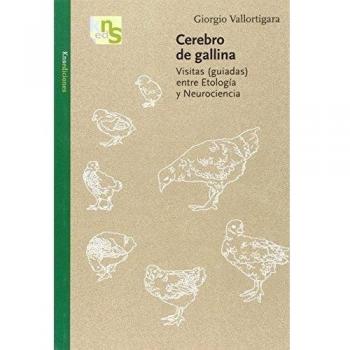 Cerebro de gallina: Visitas