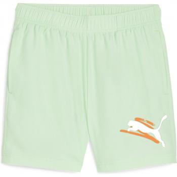 Bañador Puma Essentials+ Logo Lab Cat Woven Shorts 5''