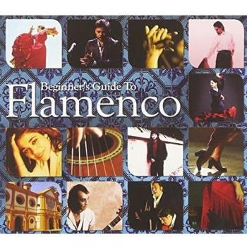 Beginners Guide To Flamenco