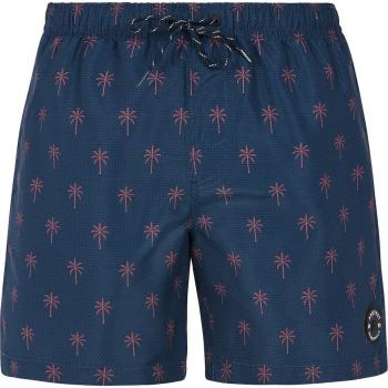 Bañador de hombre Protest Prtalvis Marino talla L