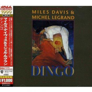 Dingo