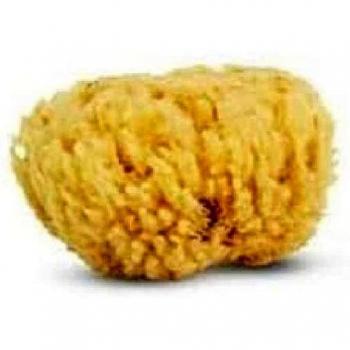 Cartel Esponja Marina Natural 21 g