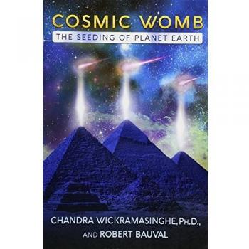 Cosmic Womb: The Seeding of Planet Earth
