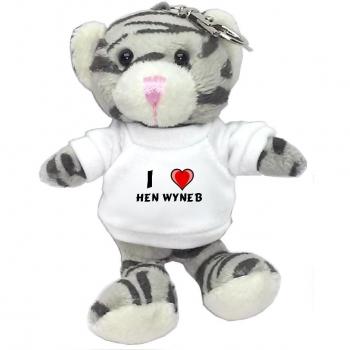 Gato gris de peluche (llavero) con Amo Hen Wyneb en la camiseta (nombre de pila/apellido/apodo)