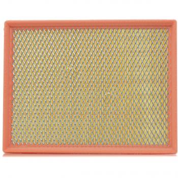 Filtro de aire FILTRON AP 074/8 - Tipo: Filtro de aire, Características: Alta eficiencia en la filtración del aire, diseño optimizado para un flujo de aire mejorado, compatible con una amplia gama de vehículos,