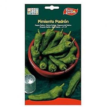 Semillas Fito Hortícolas Pimiento de Padrón 05174 (caja 10 unidades) - Euro Garden Padrón Pepper Seeds 2 g - 10 x Semillas de Pimiento Padrón 2 g