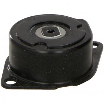 Tensor de correa poli V Dayco APV2248 - Galet tensador para vehículos Volkswagen Golf 3, Golf 4 y Transporter 4