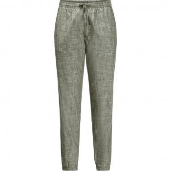 Jack Wolfskin Sandroute Outdoor Pants for Men - Green