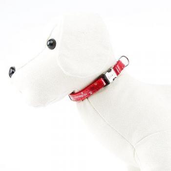 Collar Envy Wild Forever Negro