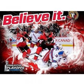 Ottawa Senators (32x24 inch, 80x60 cm) Silk Poster Seda Cartel PJ1C-237A