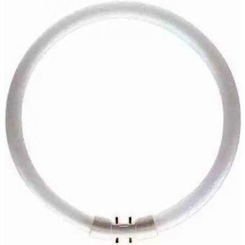 Philips 64259225 Lámpara TL5 Circular