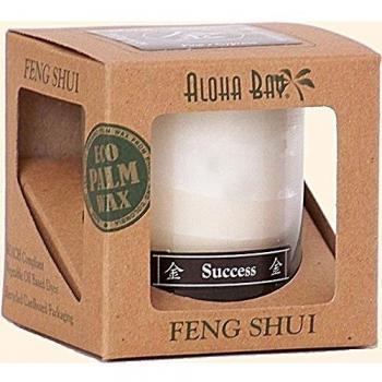 Aloha Bay Feng Shui Candle Jar Metal Success, Metal Success 2.5 oz