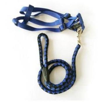 El entrenamiento de Arnés y Correa de perro. Fuerte y reflexiva para medianas y grandes perros