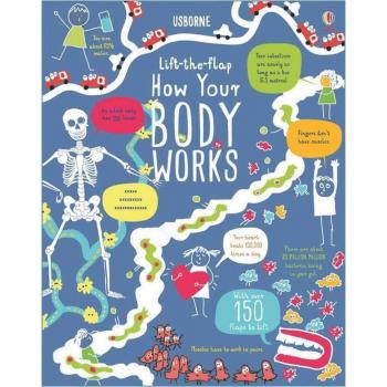 Libro Interactivo Cómo Funciona Tu Cuerpo con Solapas Desplegables