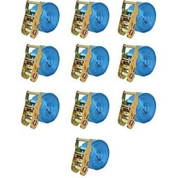 vidaXL Correas de sujeción de trinquete 10 uds 2T 6mx38mm azul