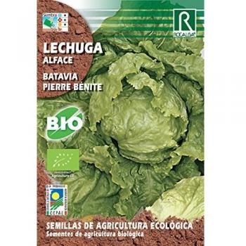 Semillas ECOLOGICAS Lechuga Batavia